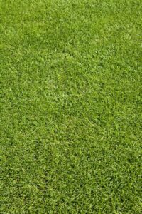 貸切ゴルフ場での宿泊旅行はどのように楽しむべき？