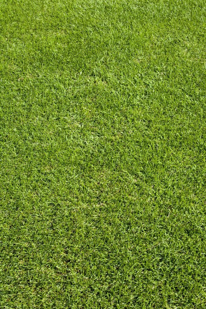 貸切ゴルフ場での宿泊旅行はどのように楽しむべき？