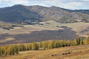 中国四国で楽しむゴルフツアープランのおすすめは？